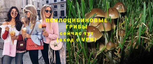 винт Арсеньев