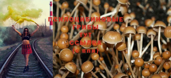 соль курить ск Армянск