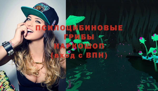 винт Арсеньев
