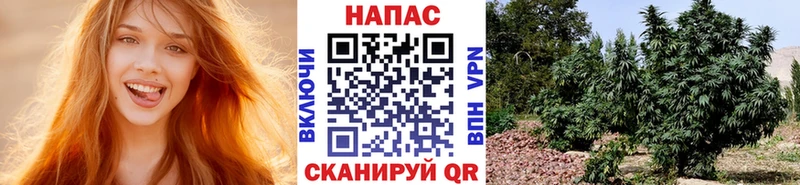 Каннабис гибрид  Радужный 